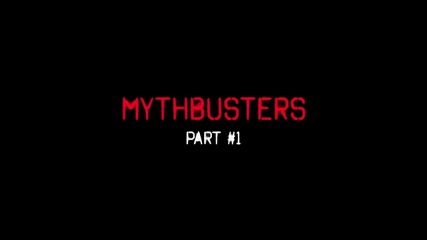 MythBusters. Roots of SA criminal tradition