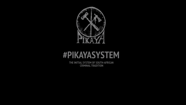 Seminar #1 for instructors of «Pikaya» system. Short review